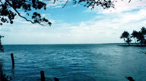 see how beautiful it is - Its a place called Kumarakum in Kerala...really a tourist spot ...... this place is good for honeymoons and place of tour for bachelors