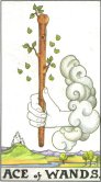 tarot-ace of wands - ace of wands