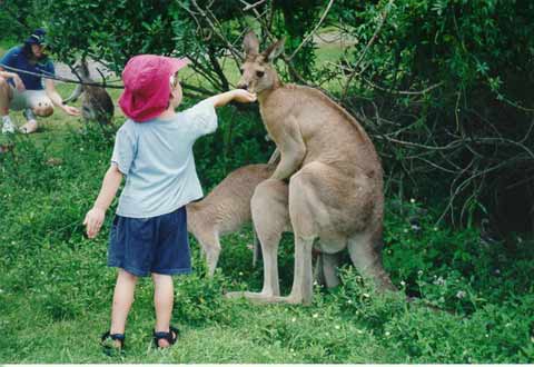 funny baby - an honest boy playing with his friend