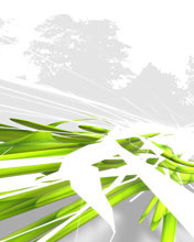 Wallpaper for S60 phones. - Wallpaper for S60 phones.  Wallppapers, Nokia, Mobile, 176*208, 176x208