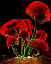 Wallpaper for S60 phones. - Wallppapers, Nokia, Mobile, 176*208, 176x208  Wallpaper for S60 phones.