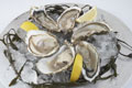 Oysters - Yum