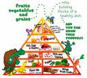 Healthy Food - Building of a Healthy Diet