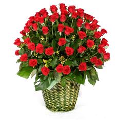 Garden of Roses - Roses are the flowers to express the deepest love for someone.