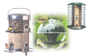 bird feeder - bird feeders