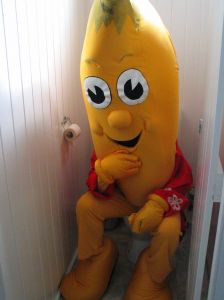 Banana on Toilet - This is just one of the silliest pictures I&#039;ve ever seen! A banana mascot on the potty! I might blow it up to help my son begin to appreciate potty time! I submitted the thumbnail here, but you can get the original at www.sxc.hu

A royalty-free photo from StockXchange, www.sxc.hu