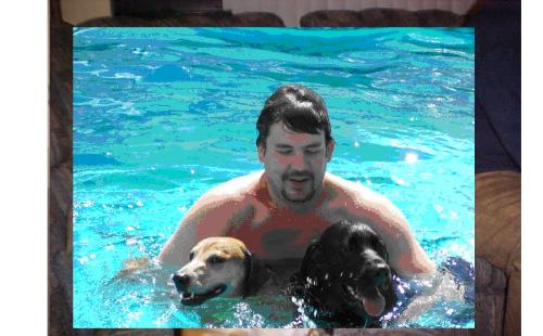 Darren and the boys - Darren and my dogs in the pool