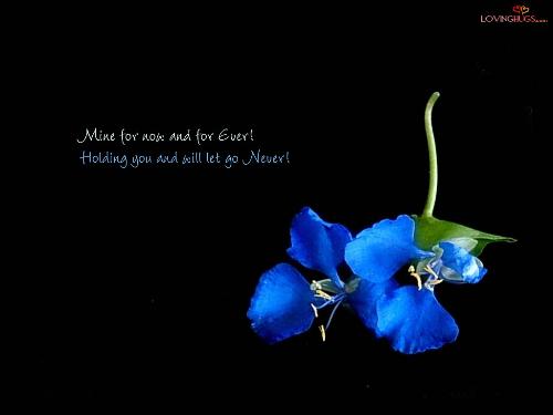 pic - sweet