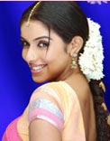 Indian traditional lady - beautiful indian lady