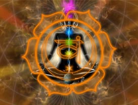 The human chakras spot. - This is the human 7 chakras spot.