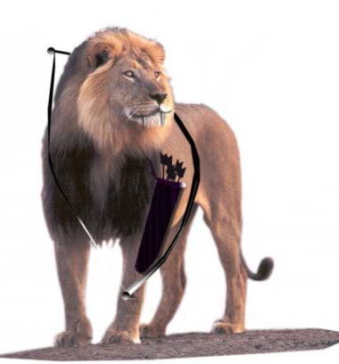 aquired skill - a lion is dangerous. But if it learns to shot an arrow thats more dangerous. I used Photoshop to add this enhancement.