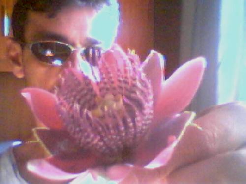 flor - veja como é linda a flor de maracujá...