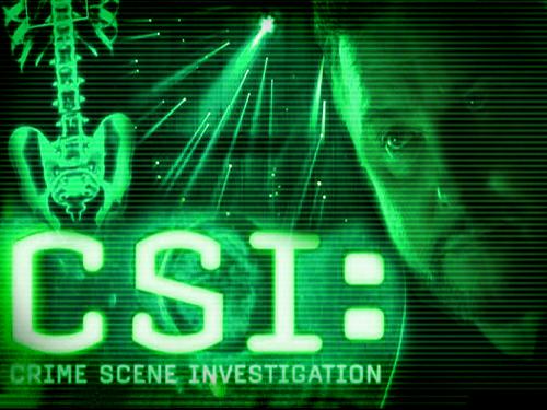 Gill Grissom - Gill grissom of csi las vegas