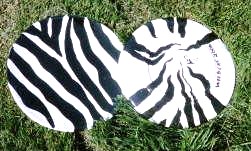 Ceramics - Ceramics in  free hand  zebra pattern.