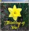 Thinking of You greeting card - Thinking of You greeting card image from the internet