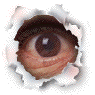 ani - animation of an eye