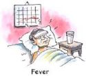 Fever - Fever, stay home if your sick Fever - Fever, stay home if your sick