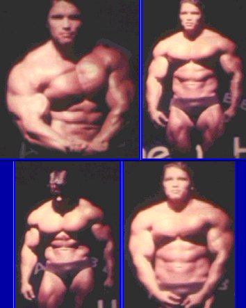 Arnold offseason - This is Arnold in offseason ! VEEERY BIG !