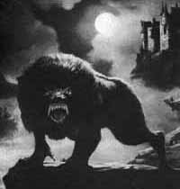 mannaro wolf - mannaro wolf werewolf 