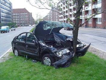 Car Crashed into a tree - A car that has crashed head on into a tree