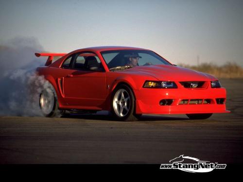 cobra - mustang cobra