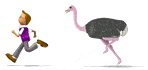 Ostrich Racer (at yahoo) - Yahoo Ostrich Racer