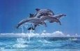 dolphins - Jumping dolphins