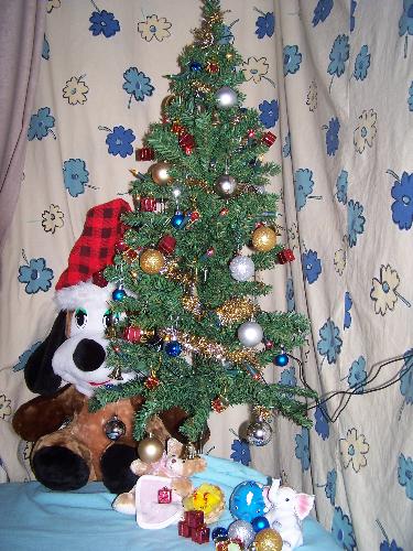My christmas tree - This is my Christmas tree in my room, i love to decorate it, that big teddy is my arya's toy, he contribute for our Christmas tree.