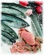 Seafood, - Seafood has long been known as an excellent source of vitamins and minerals.