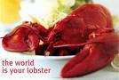 Lobster -  Lobster is one of if not the most  tasty and famous  of seafoods.