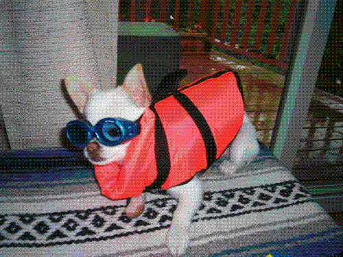 Pearl #2 - already for a fishing trip in the boat