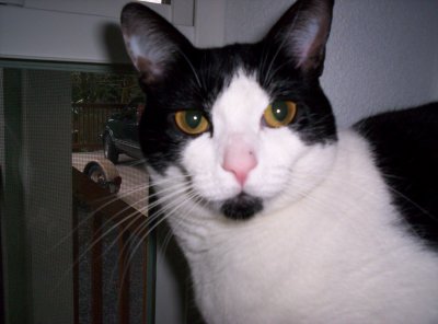Bessie - Bessie is the daughter of Little