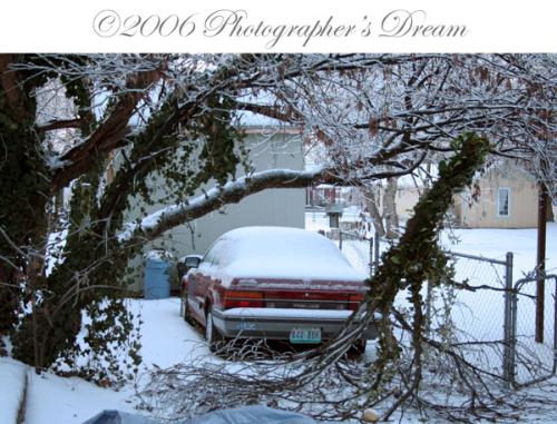 Ice Storm Photo - This is my Prelude. The limb you see behind it was just a couple feet from the back bumper of the car.