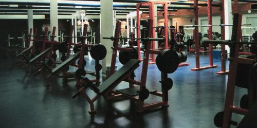 weights room - Weights training is the best and fastest way to develop muscles mass, conventional weights are still the core for bodybuilding.