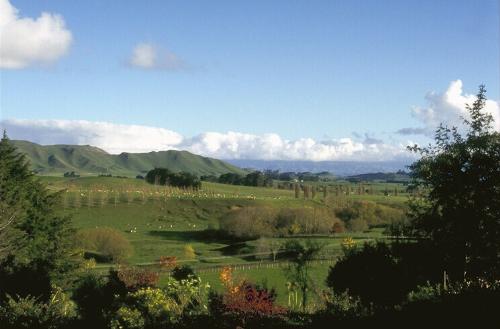 nature at its best - amazing view of hillside