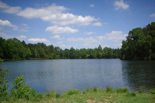 Nature - I was born and raised in a city and it was very rare that I ever got to see nature pure and untouched. I moved to South Carolina a few years ago and found a nature preserve not far from where my family and I moved to. I took this picture one beautiful day. This is the Heiger River at Anne Springs Greenway in South Carolina.