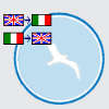 Italian-English and English-Italian  - translator Italian-English and English-Italian 