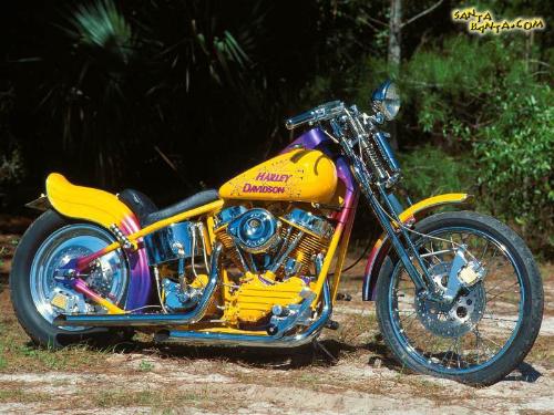 bike  - this is a bike of the modern times, since i m a bike freak i hav chosen this picture as my identity