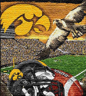 Hawkeyes - Go Hawks!