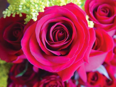 As Pretty As Me - Pretty Flower