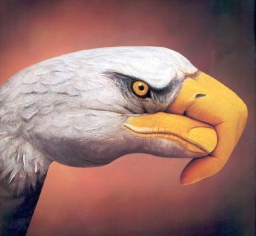 Human Eagle - Check out the creative use of a hand.. isn&#039;t this just awesome art.