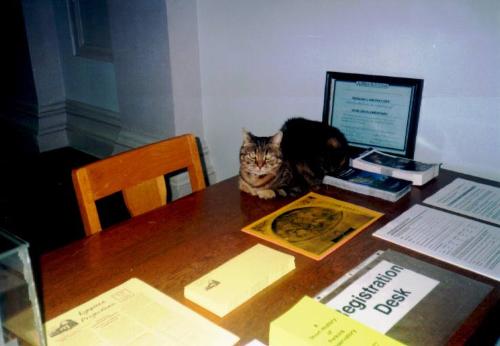 My cat near my laptop - Here we see cat sitting on the registration desk in the lobby. She appears to be breeting visitors, passing out brochures, and selling tickets.Never netful of security, cat also ha a  vantag point to observe everything