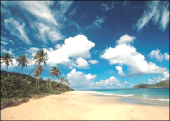 Puerto Rico Paradise - Paradise at Puerto Rico