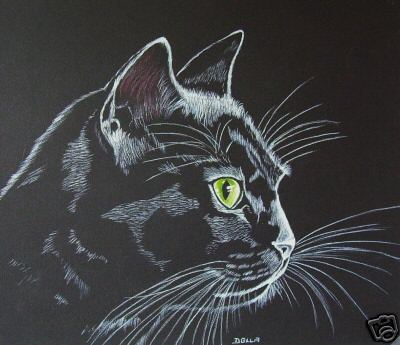 Black Cat - Originally in Britain and Europe, a black cat crossing one's path was considered good luck; however they were also seen by the church as associated with witches.