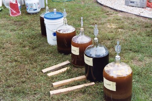 30 gallons of beer - One weekend in October a bunch of us got together for a beer brewing party.  15 gallons IPA, 5 gallons Porter, 5 gallons summer ale, 5 gallons winter warmer.  All went pretty well and tastes really good...only lost a couple bottles to exploding bottles!!