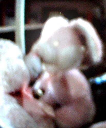 rabbit and bear relationship - rabbit and bear has a kissing scene. having what they want to do