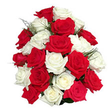 Love Rose - it symbolizes a true love