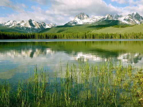 nature - This is picture of greenery
