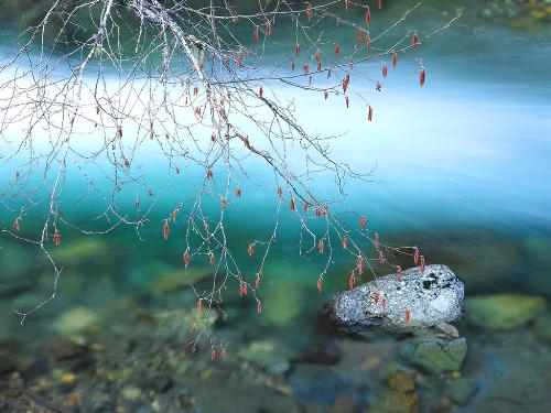 water - This is picture