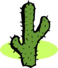 cactus     -